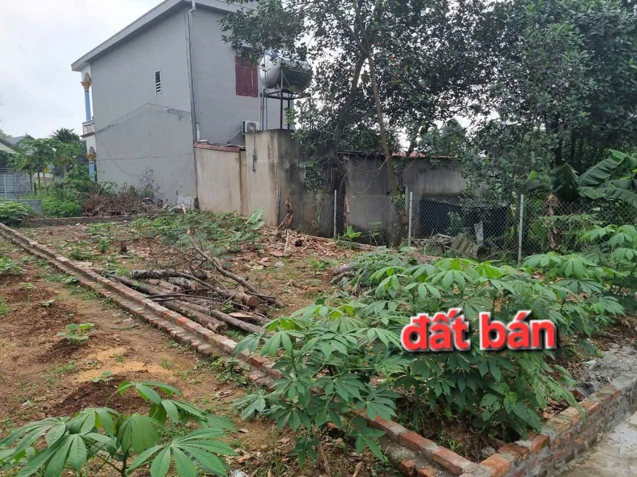 Bán đất
