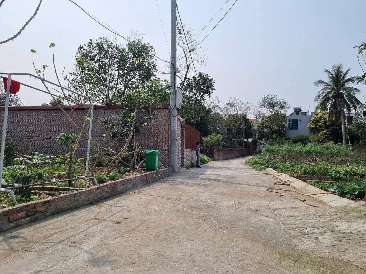 Bán đất