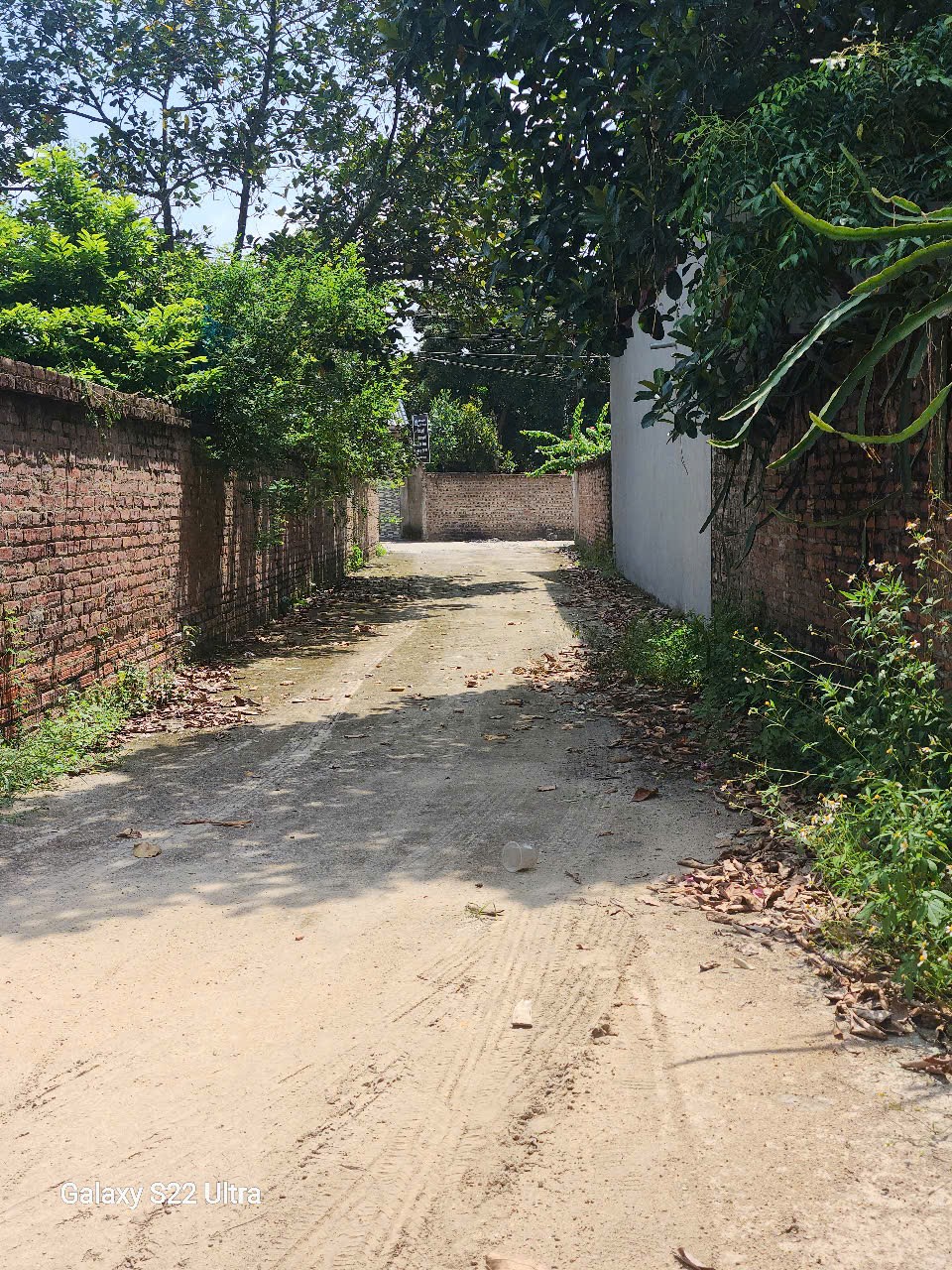 Bán đất