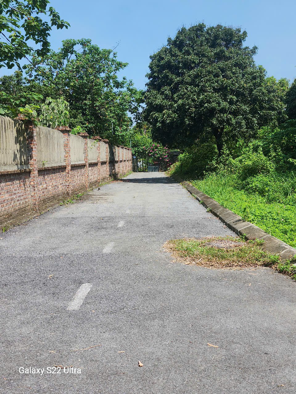 Bán đất