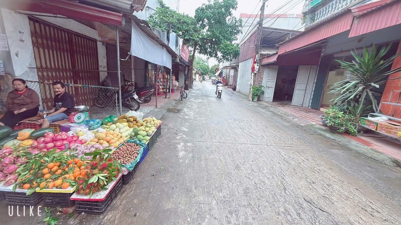 Bán đất