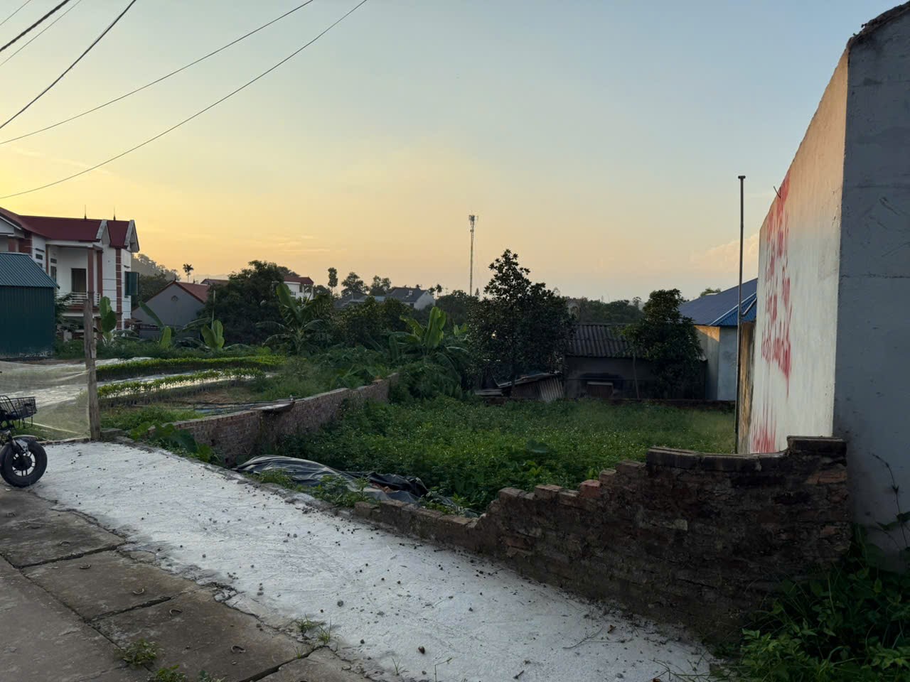 Bán đất