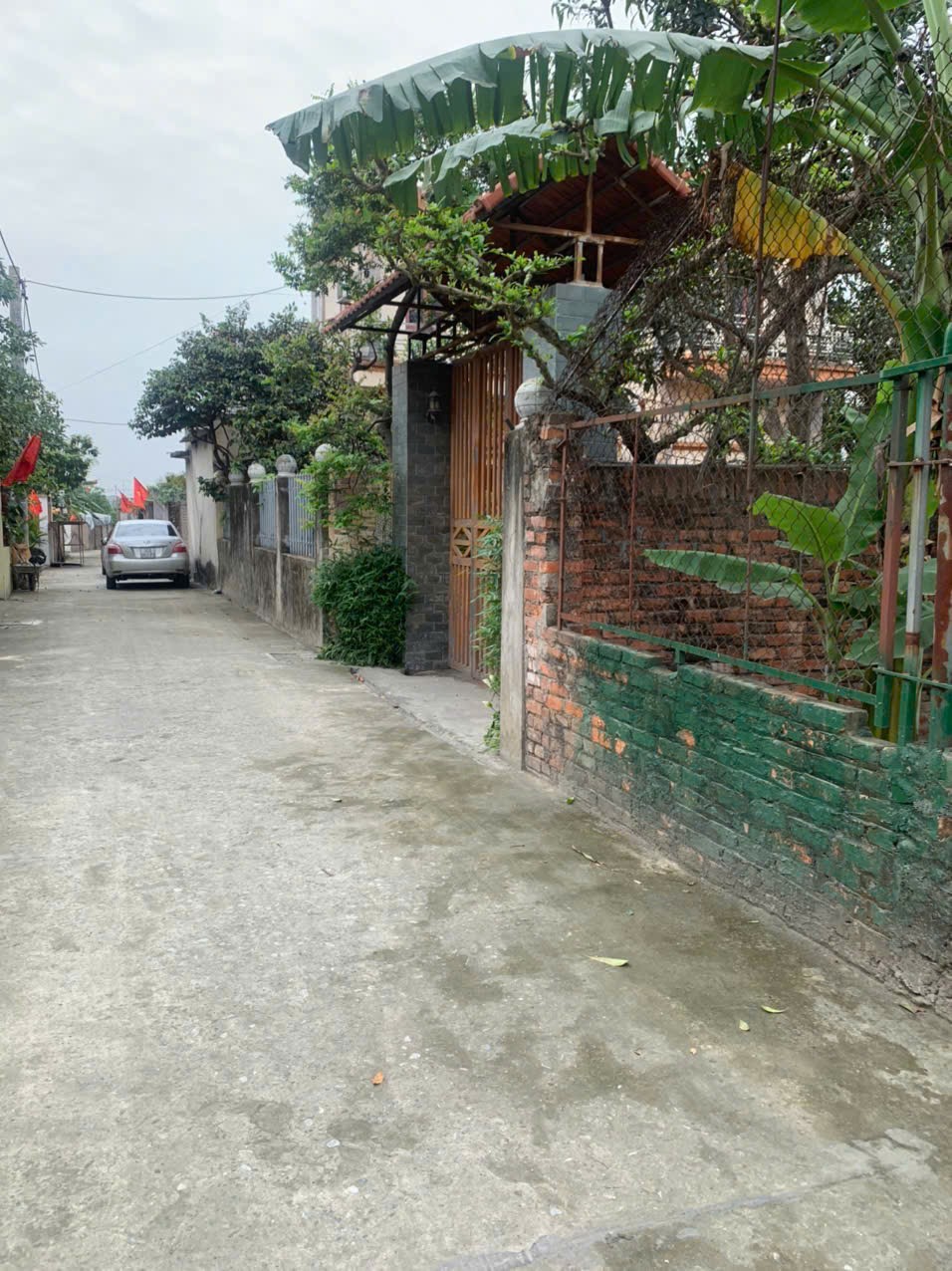 Bán đất
