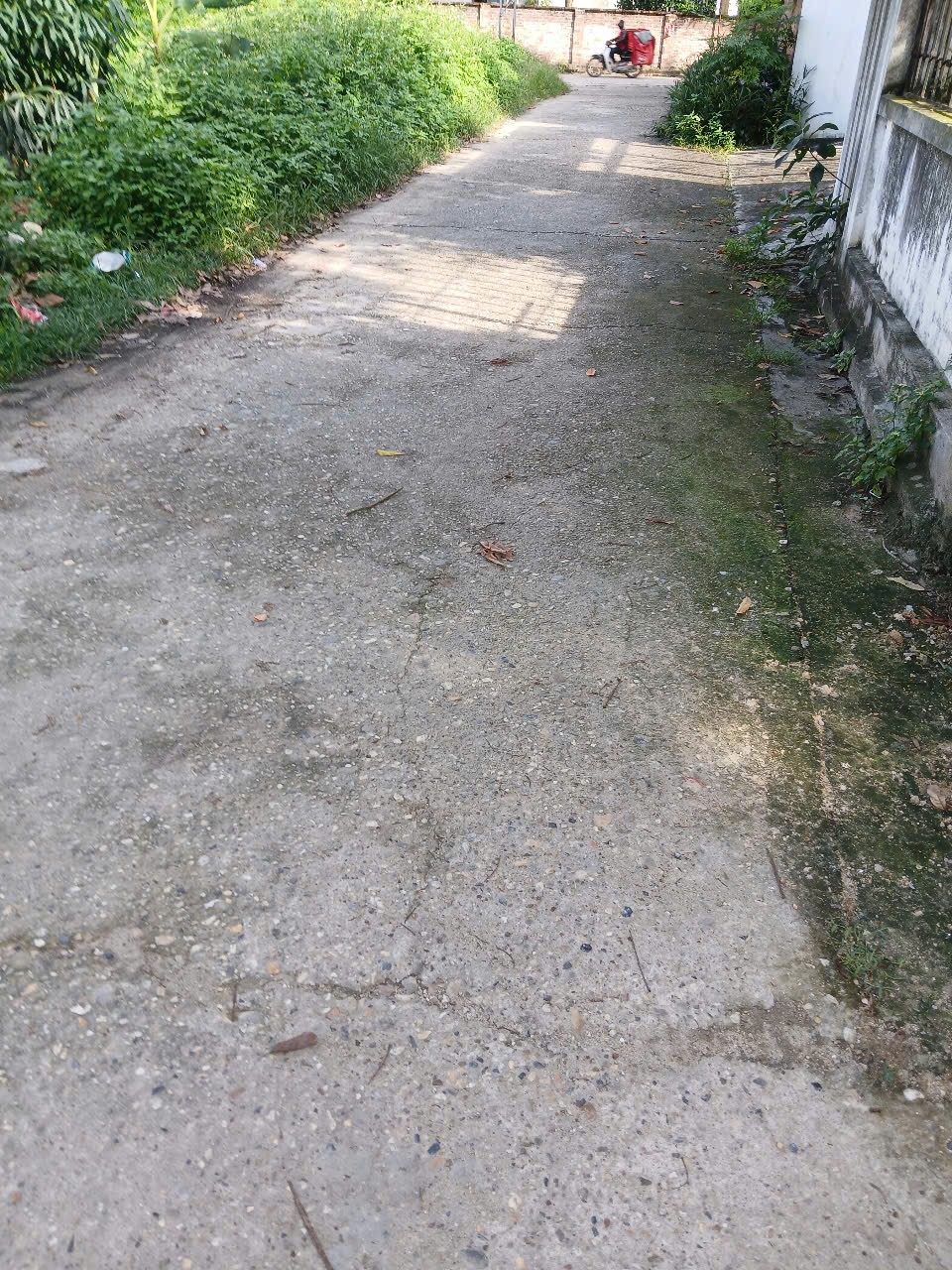 Bán đất