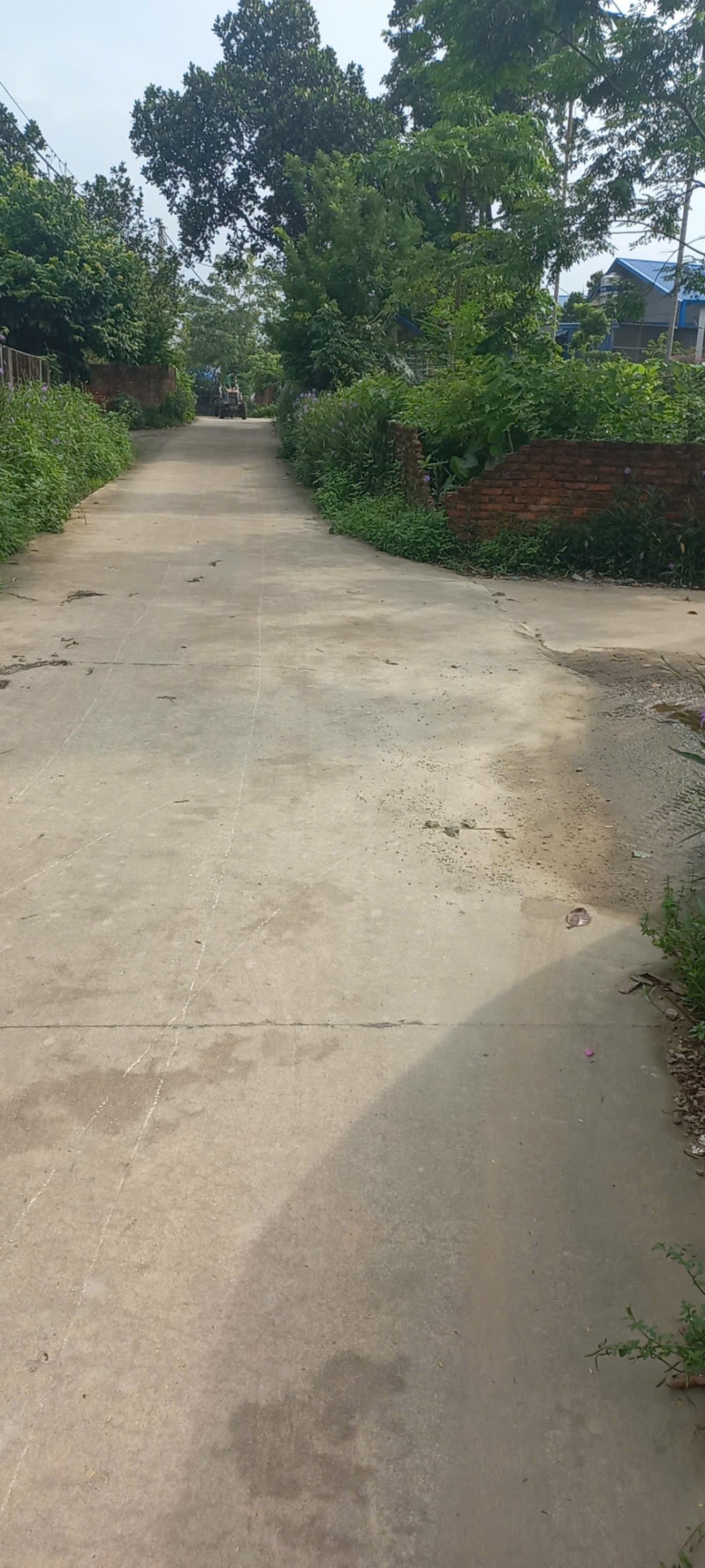 Bán đất