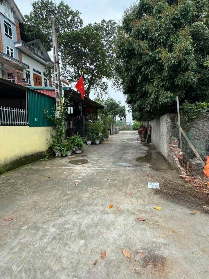 Bán đất