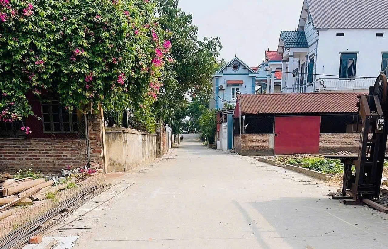 Bán đất