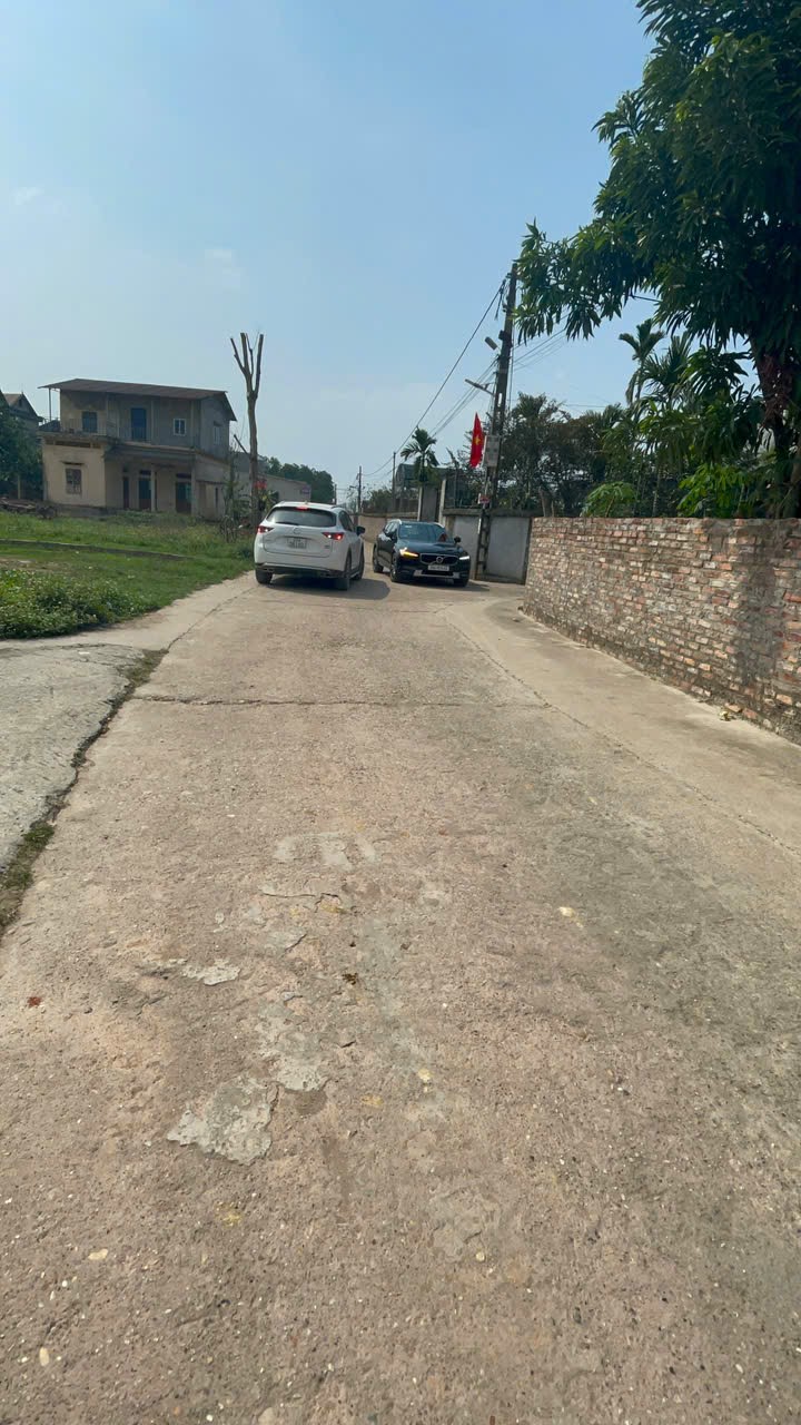 Bán đất