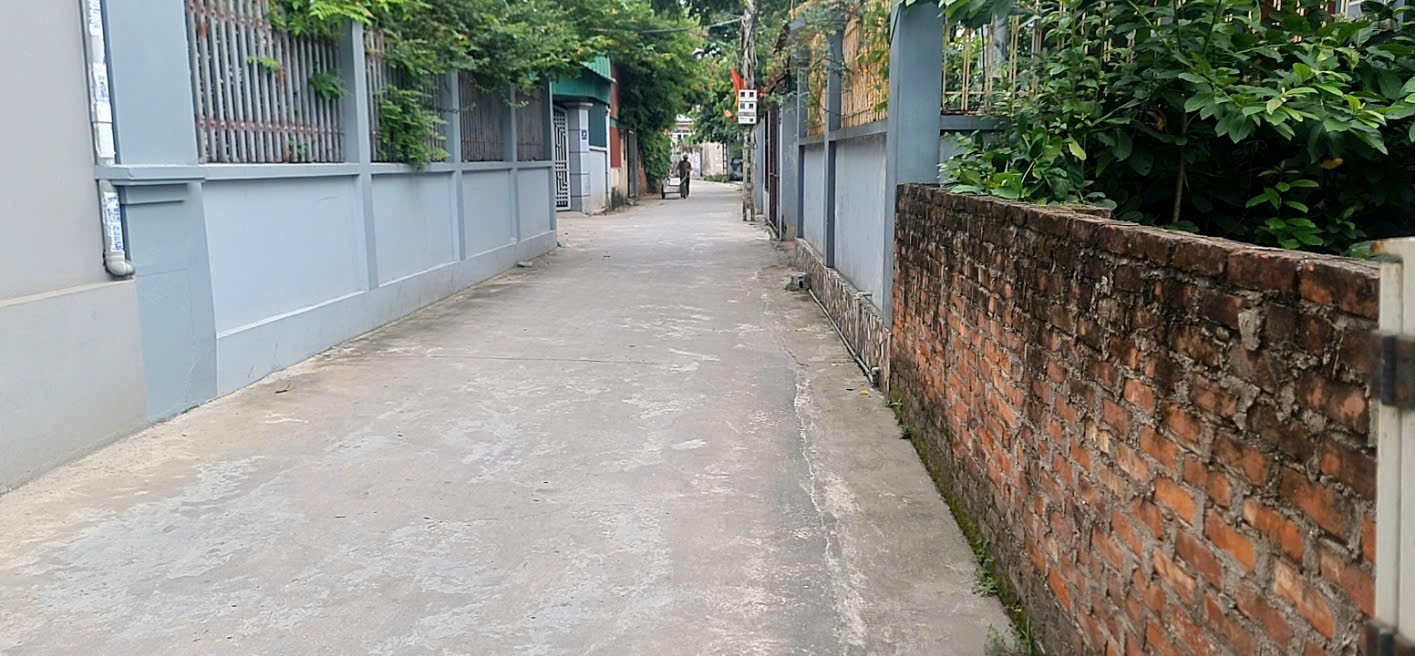 Bán đất