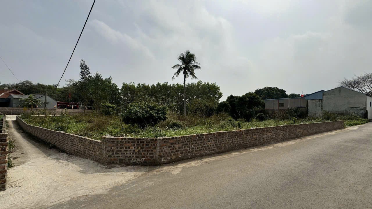 Bán đất