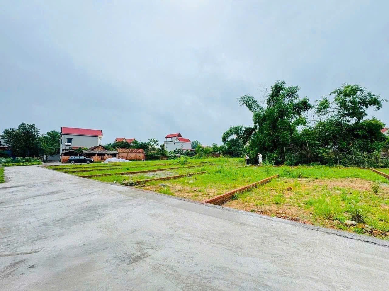 Bán đất
