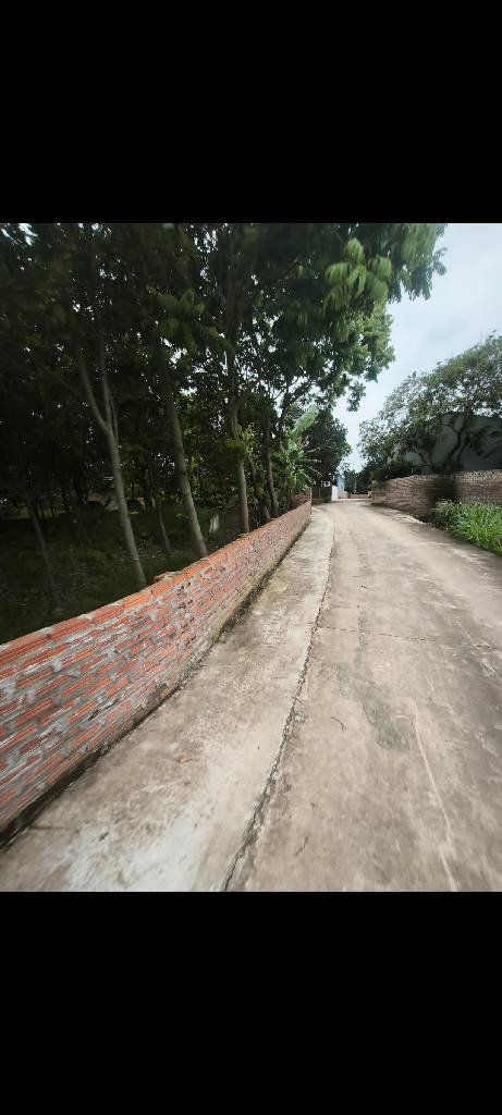Bán đất