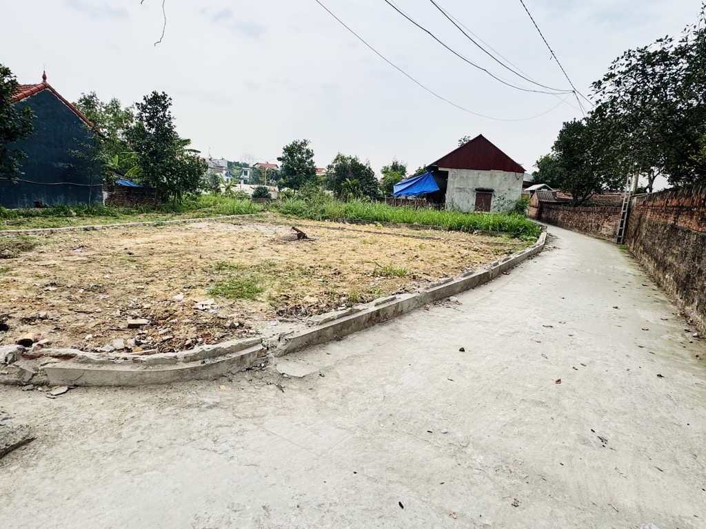 Bán đất