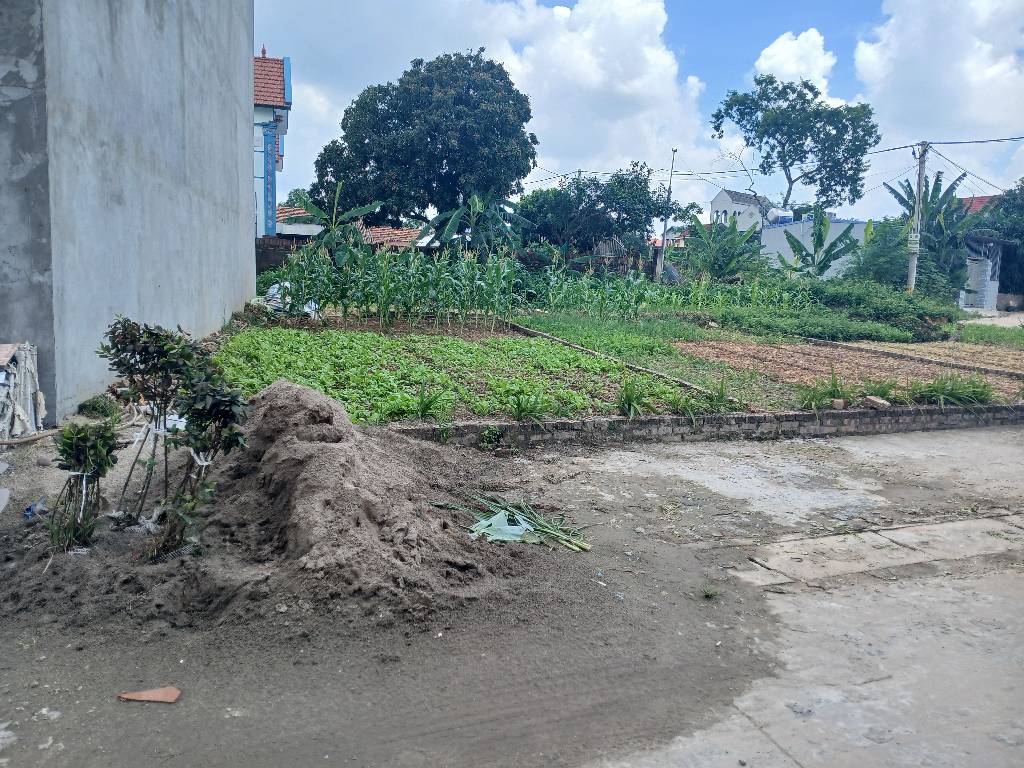 Bán đất