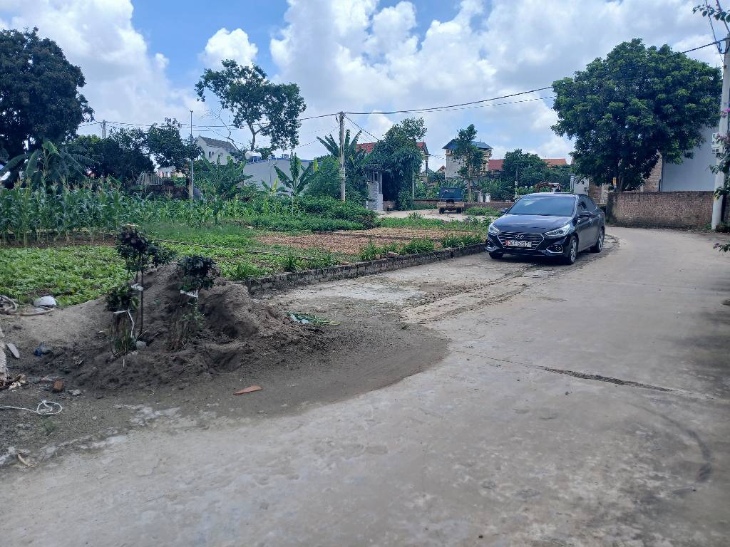 Bán đất