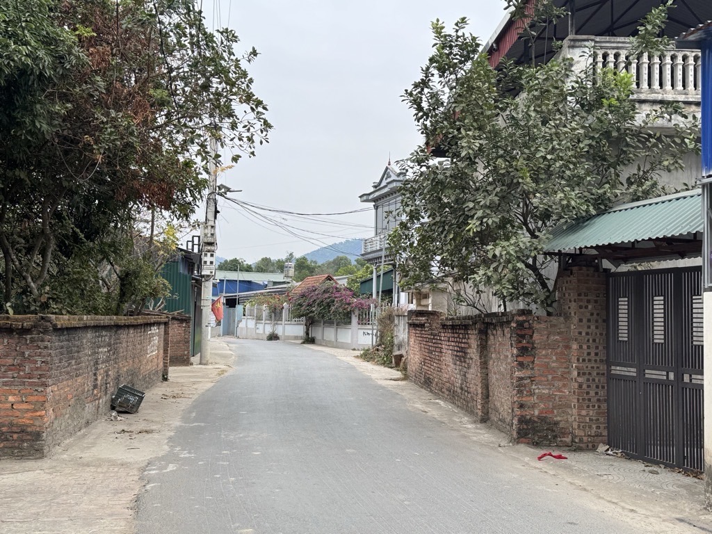 Bán đất
