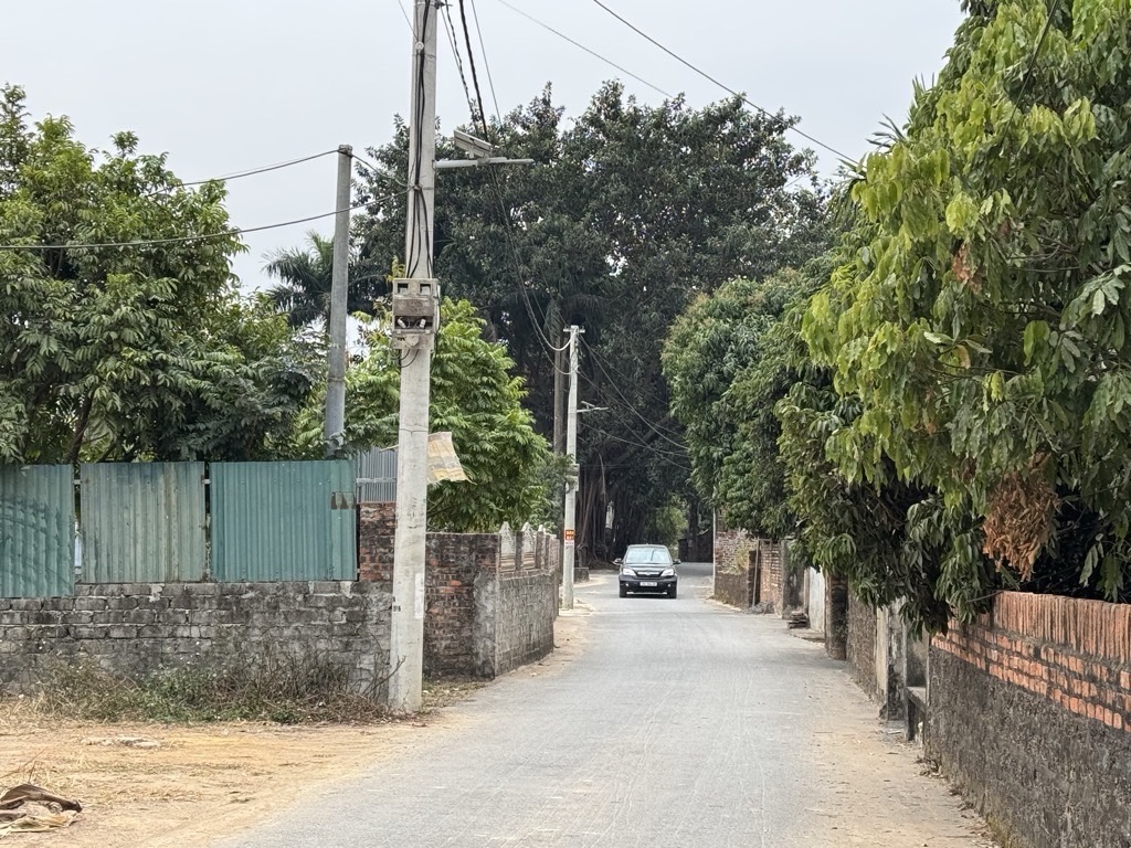 Bán đất