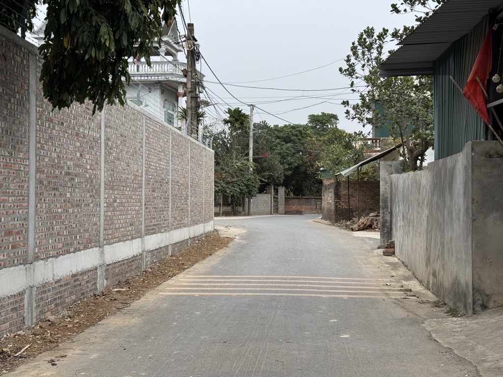 Bán đất