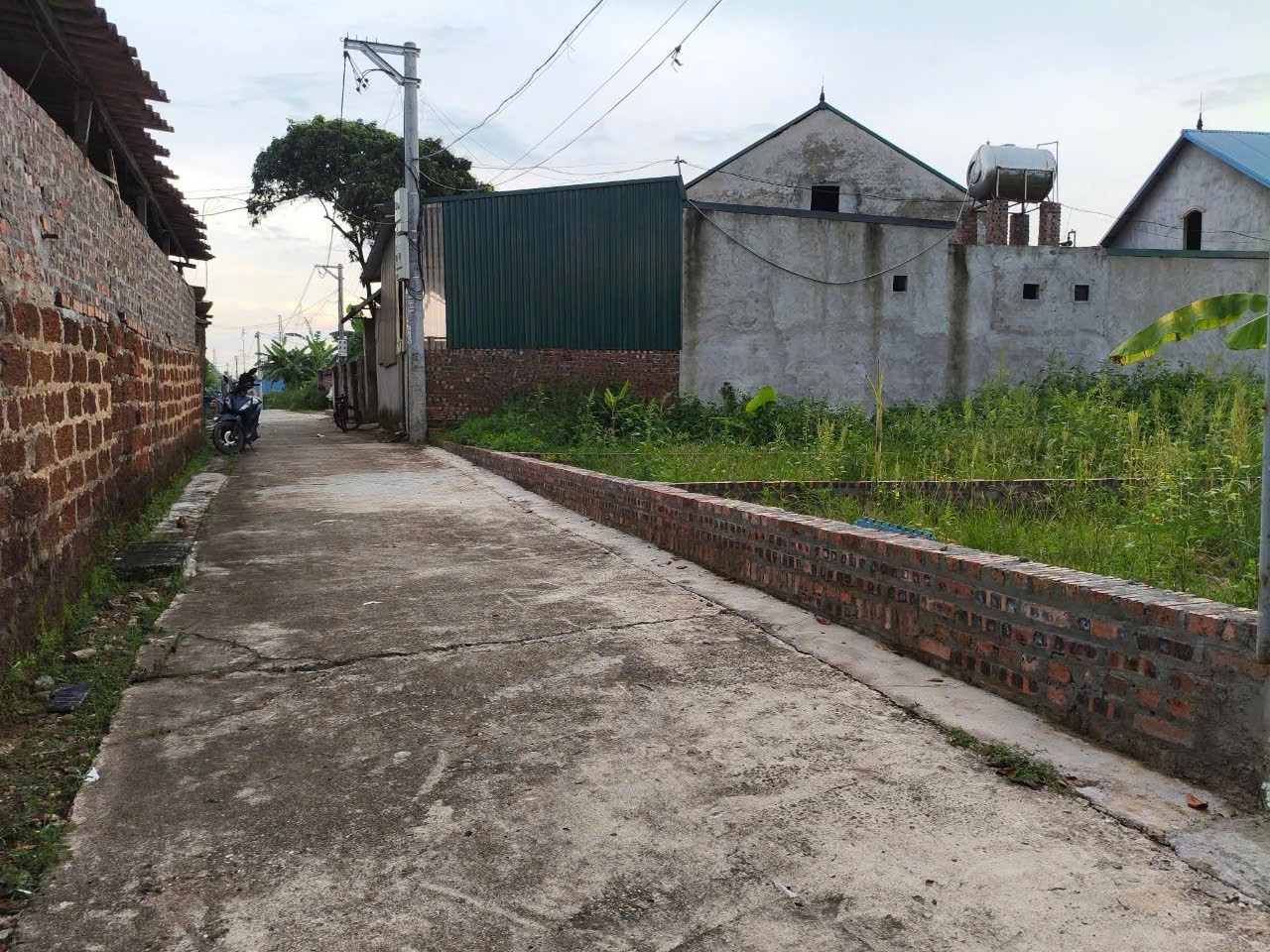 Bán đất