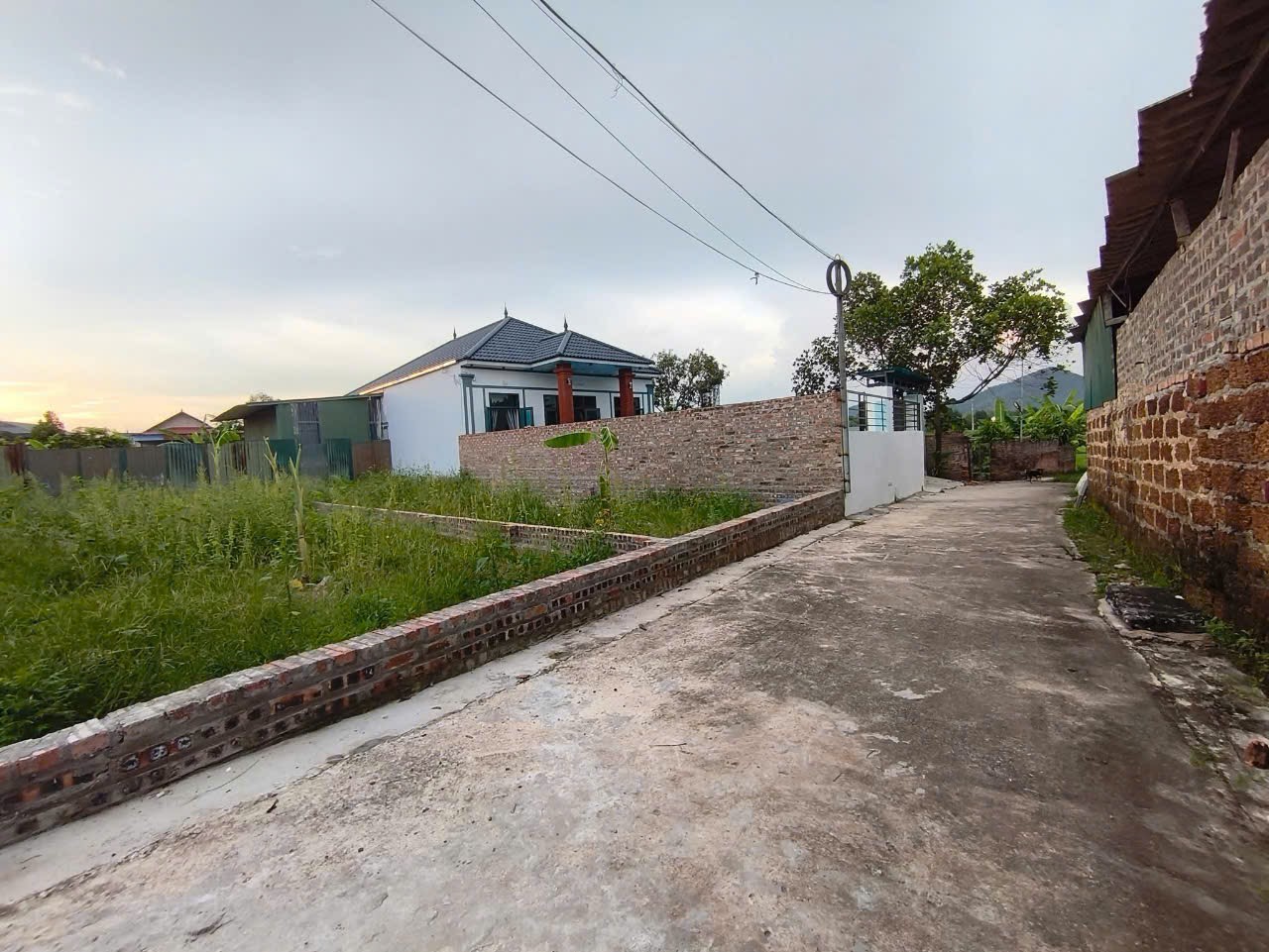 Bán đất