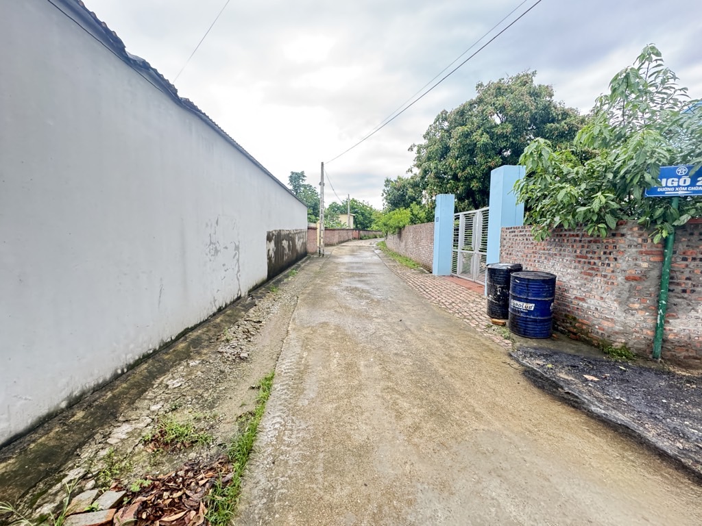 Bán đất