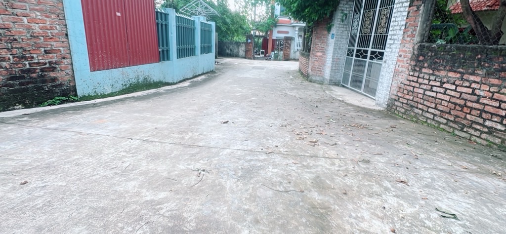 Bán đất