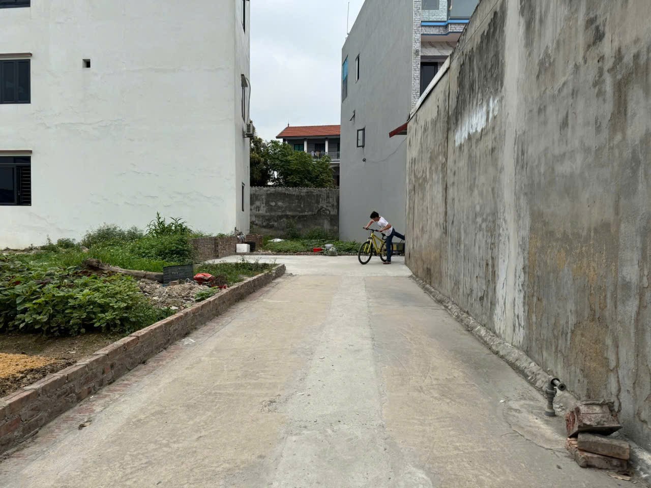 Bán đất