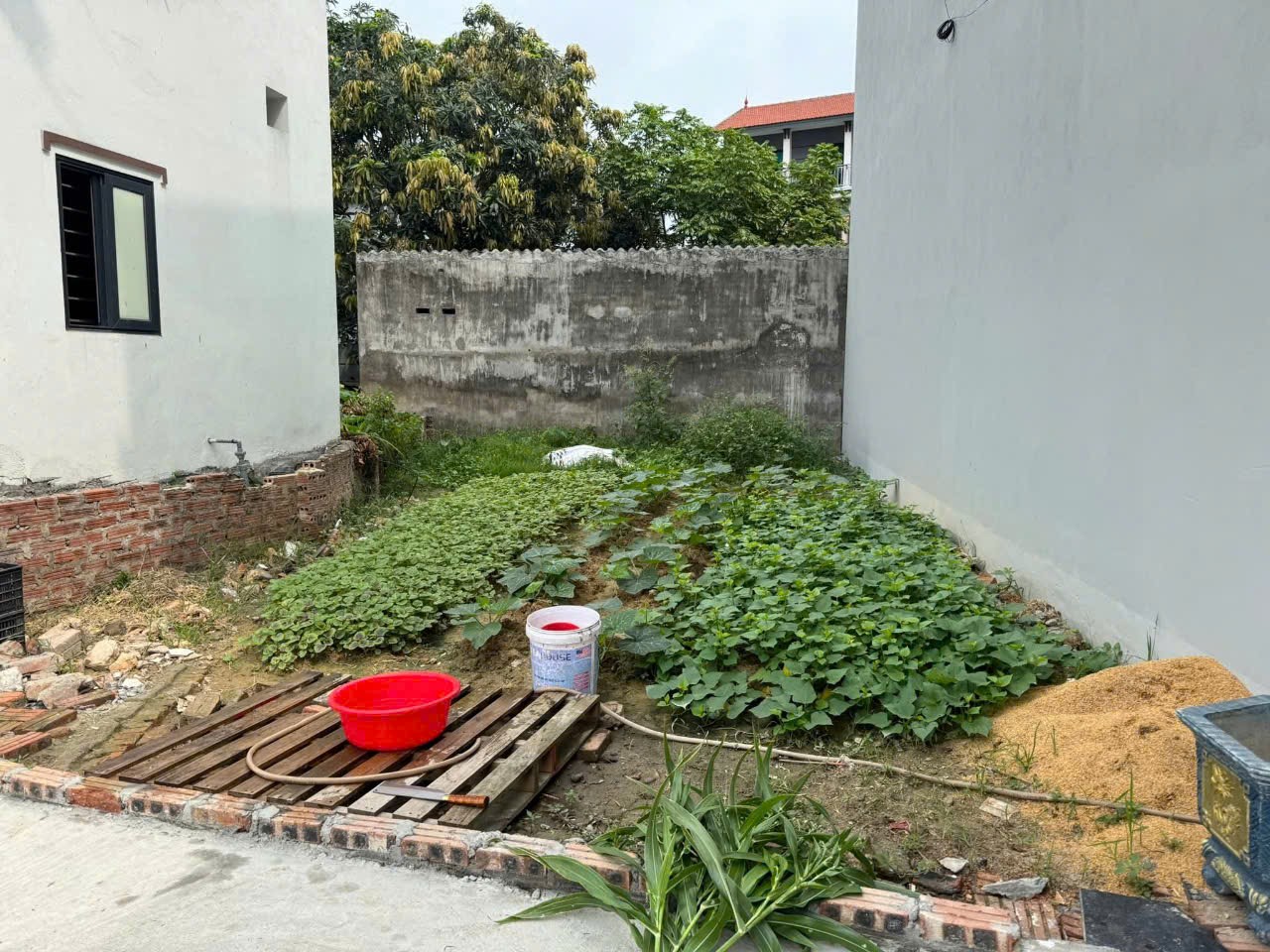 Bán đất