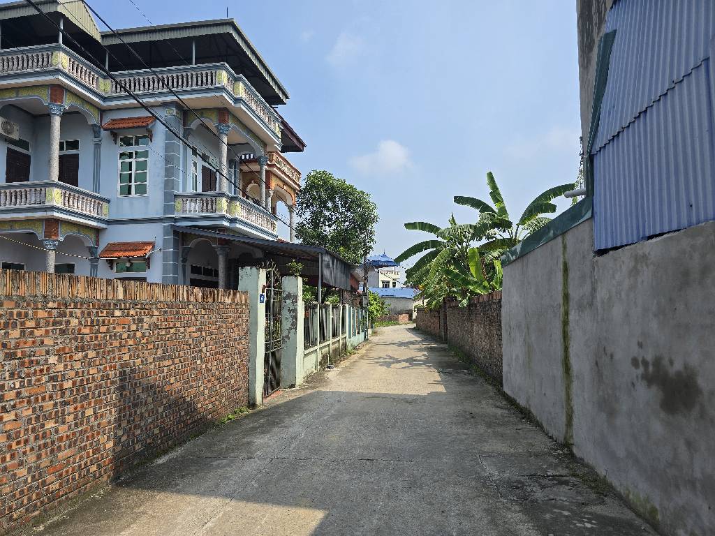 Bán đất
