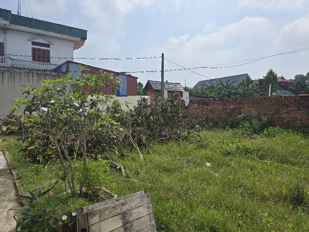 Bán đất