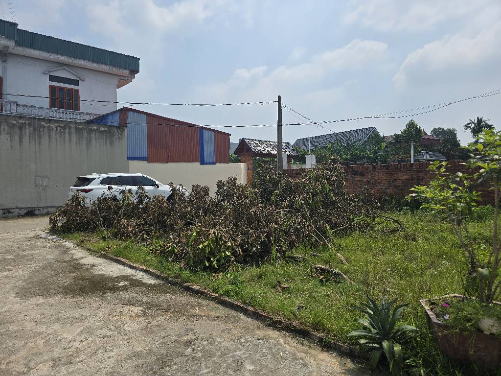 Bán đất