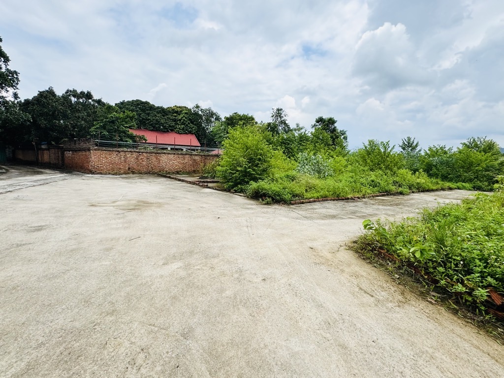 Bán đất