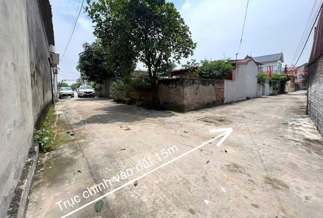 Bán đất