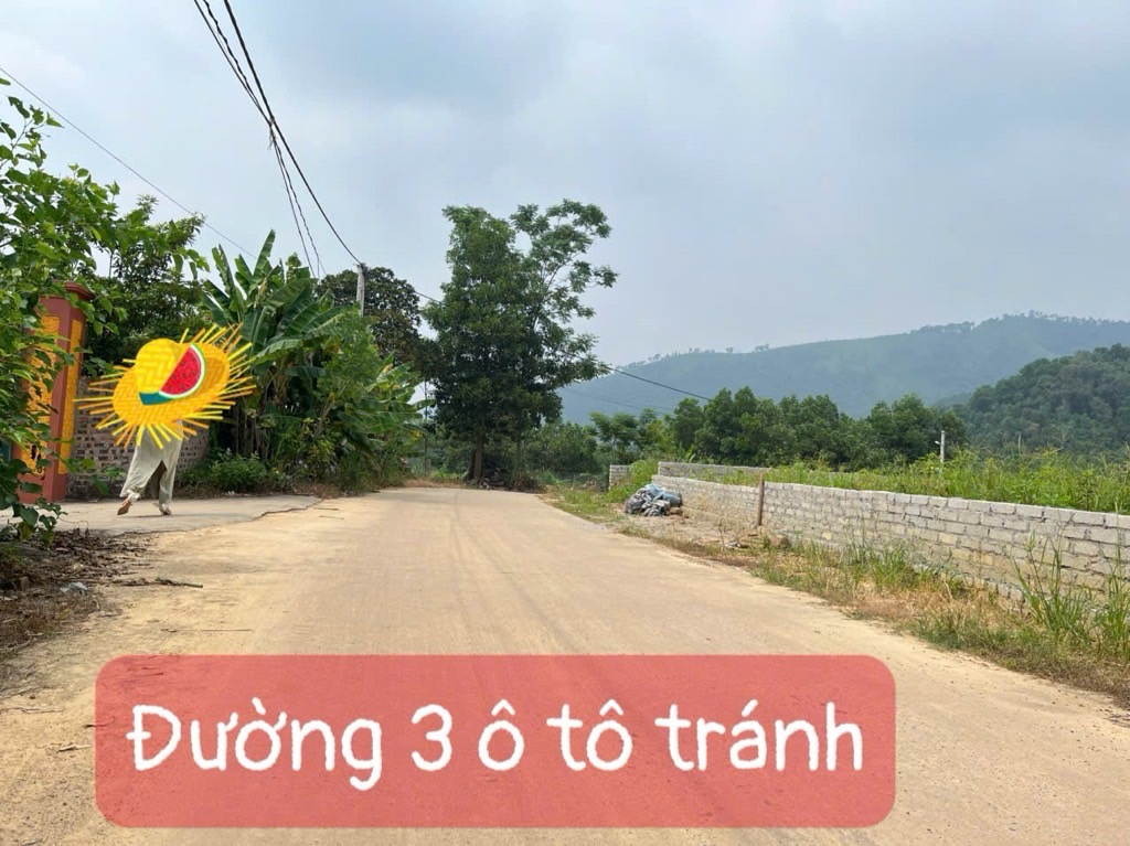 Bán đất