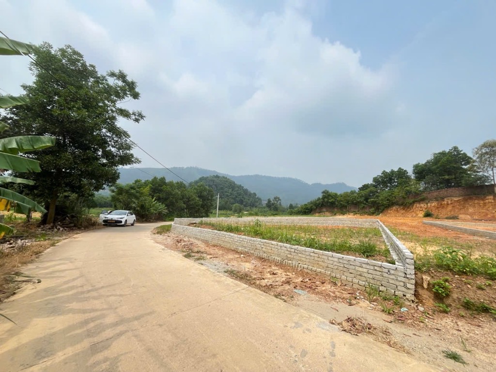 Bán đất