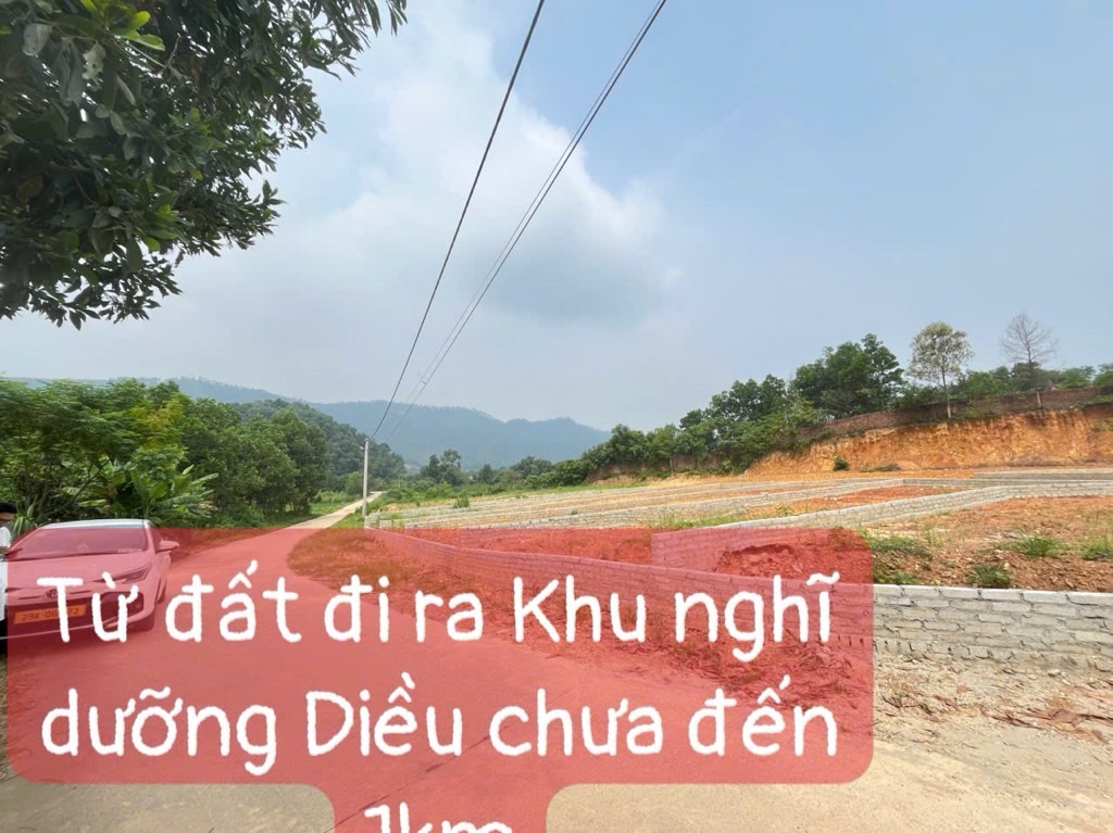 Bán đất