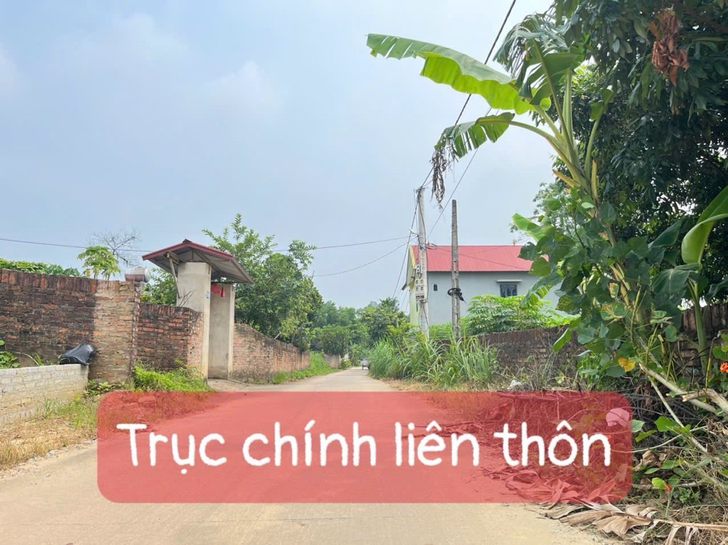 Bán đất