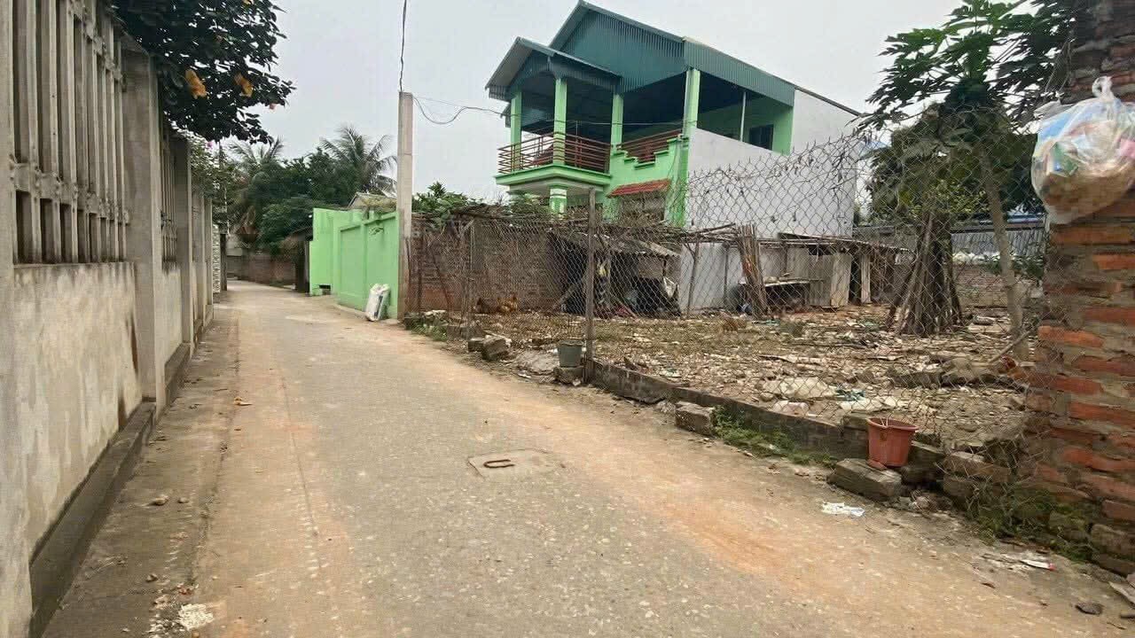 Bán đất