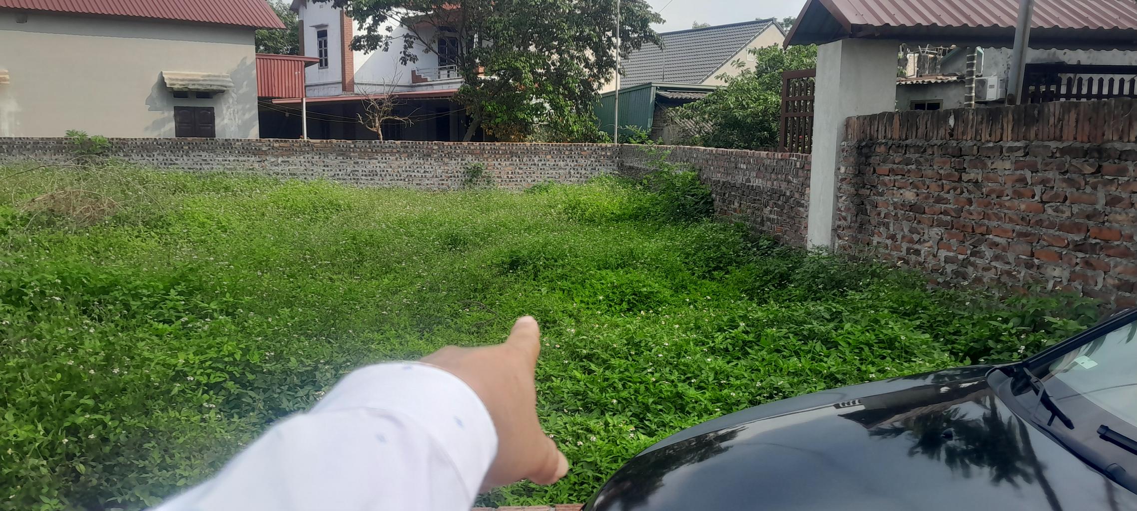 Bán đất
