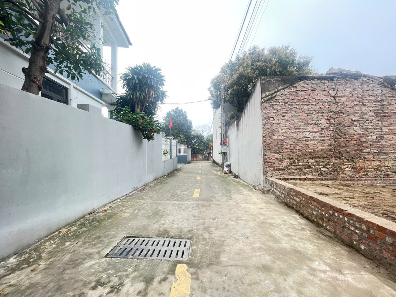 Bán đất