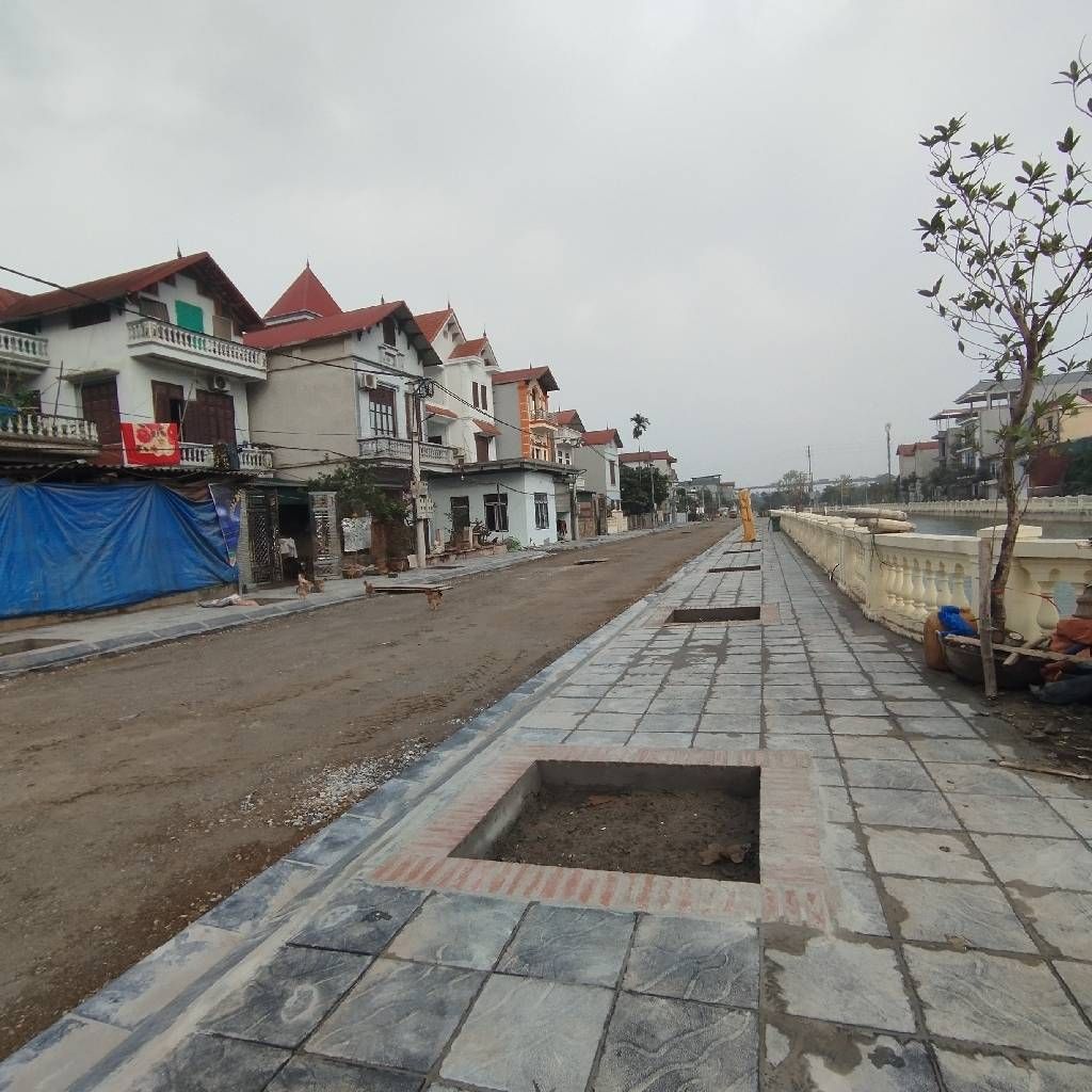 Bán đất