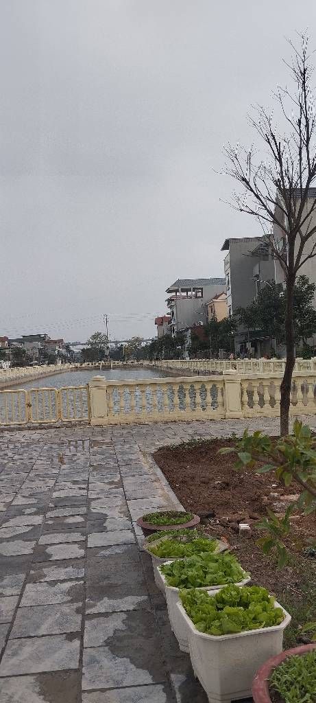 Bán đất