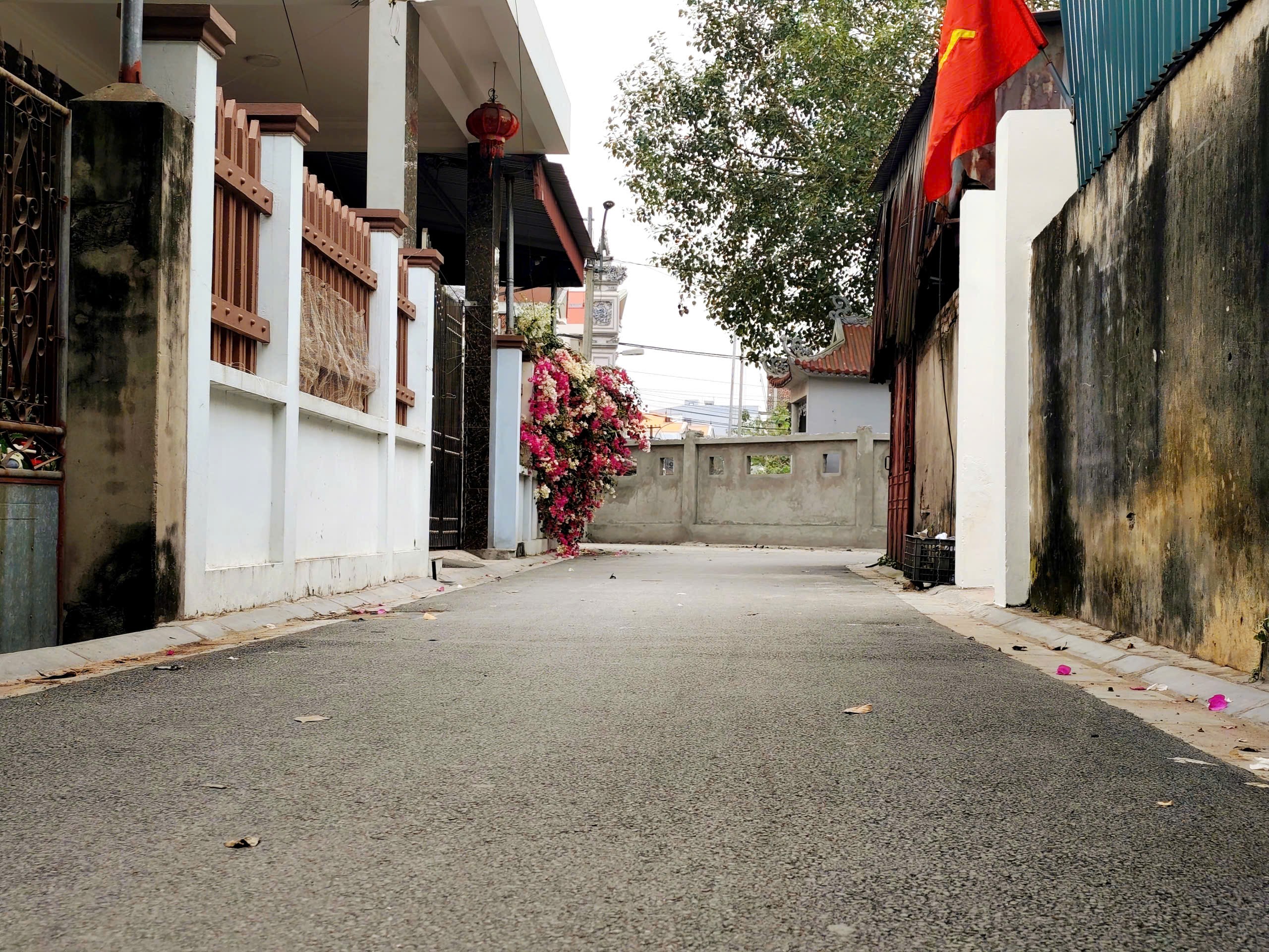 Bán đất
