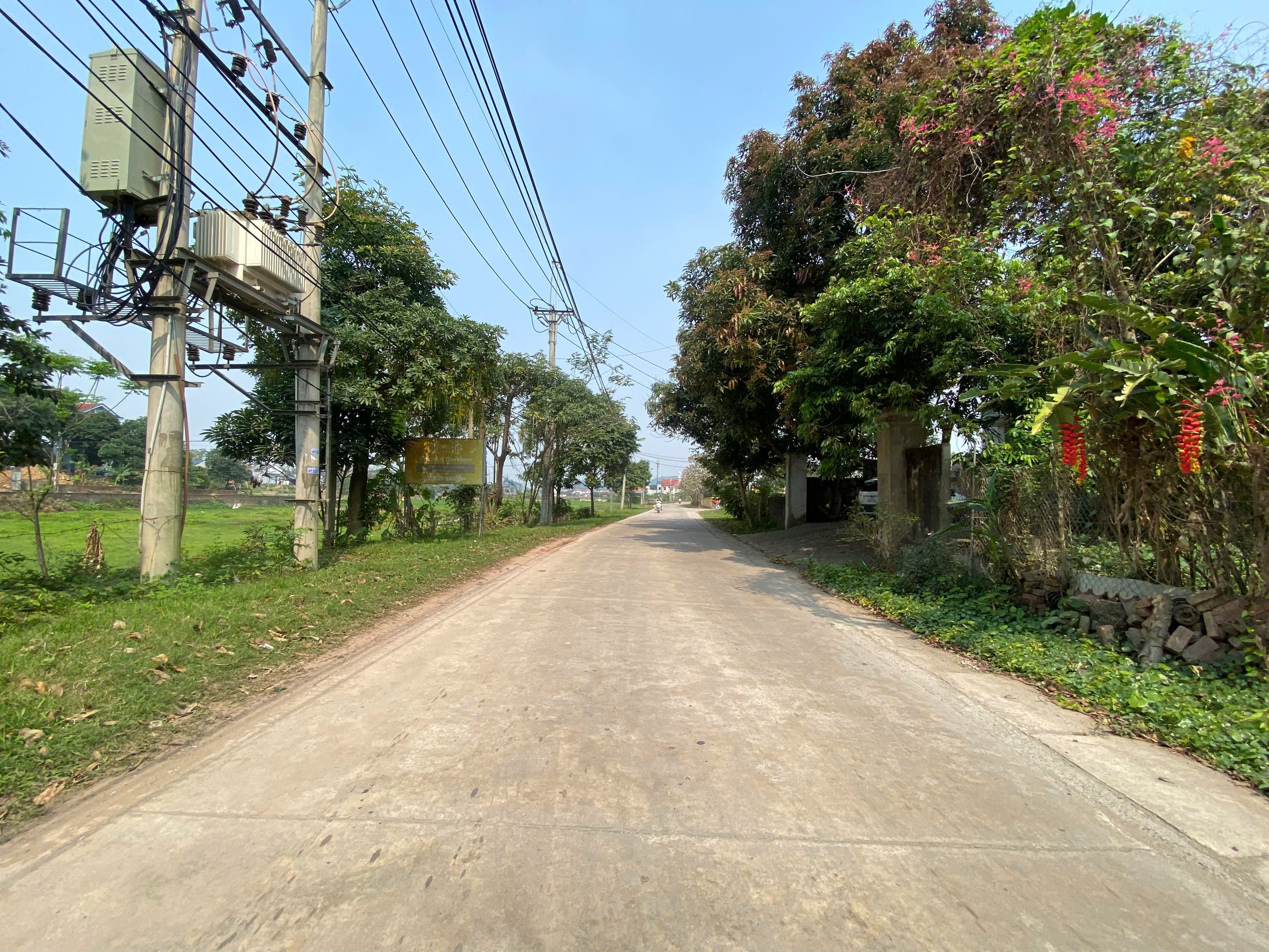 Bán đất