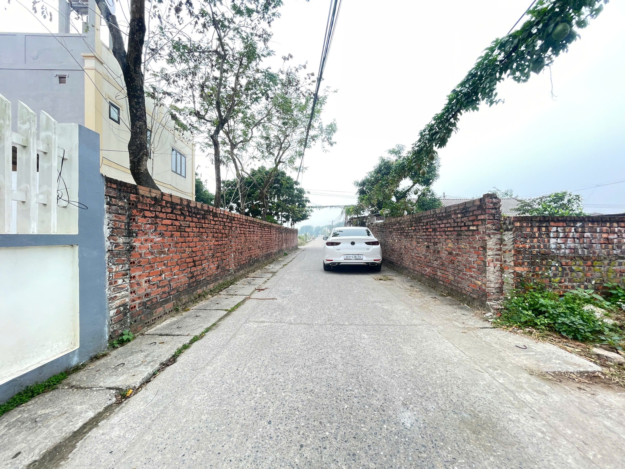Bán đất