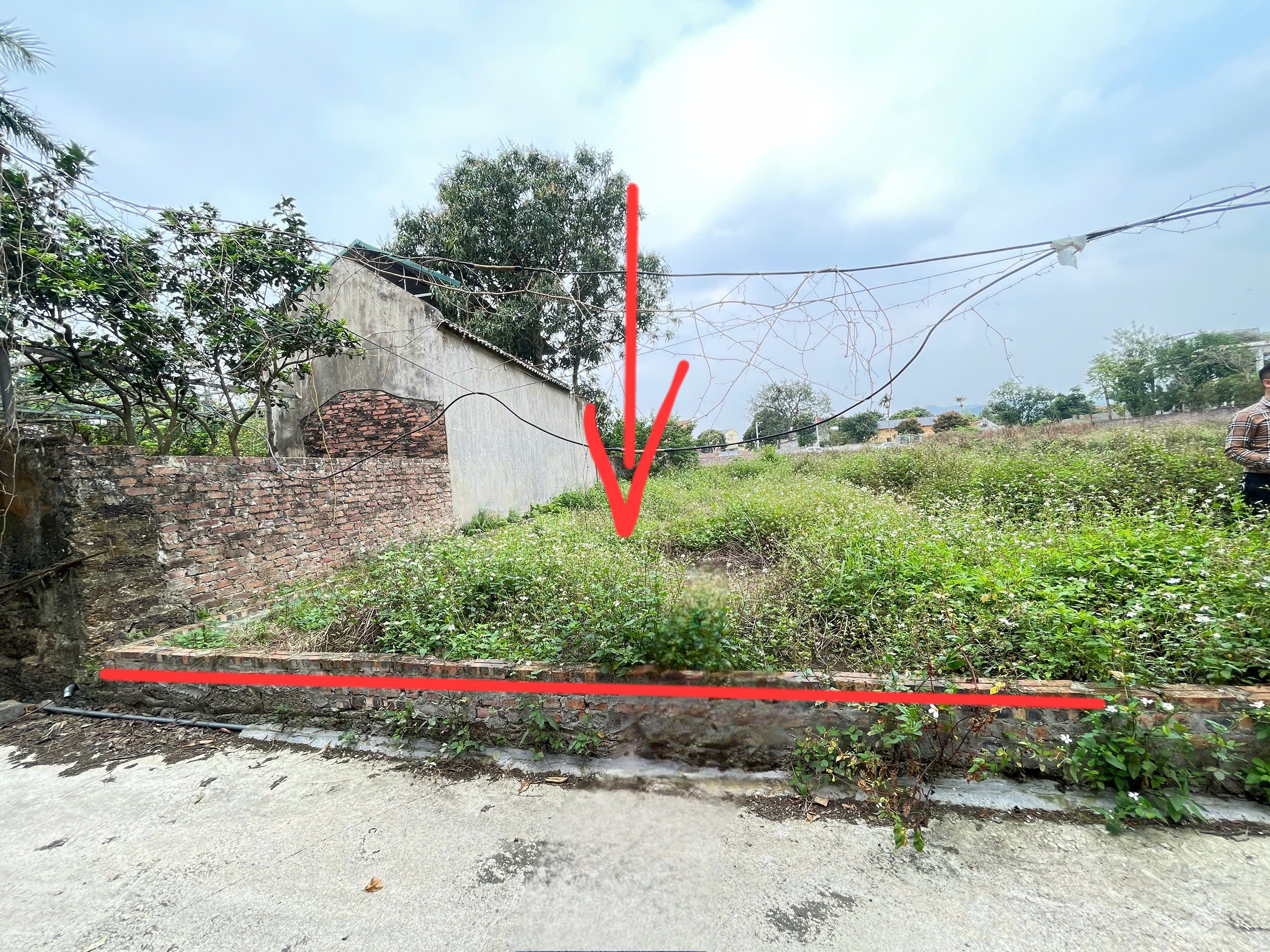 Bán đất