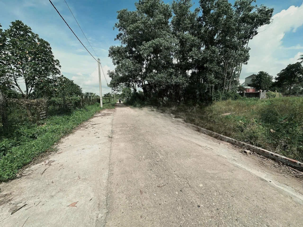 Bán đất