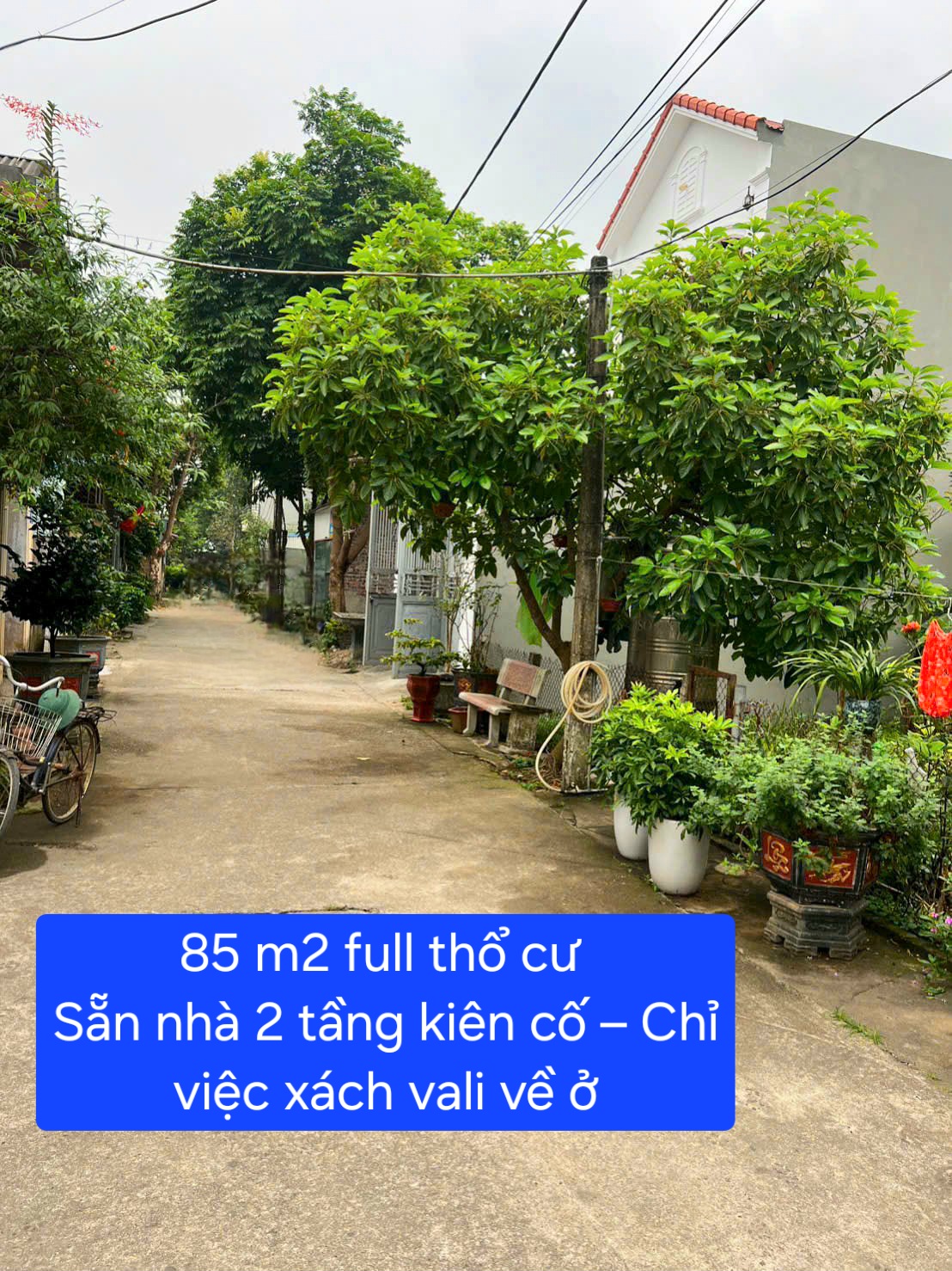 Bán đất