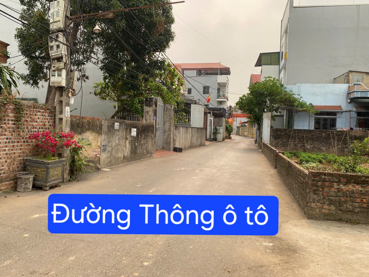 Bán đất
