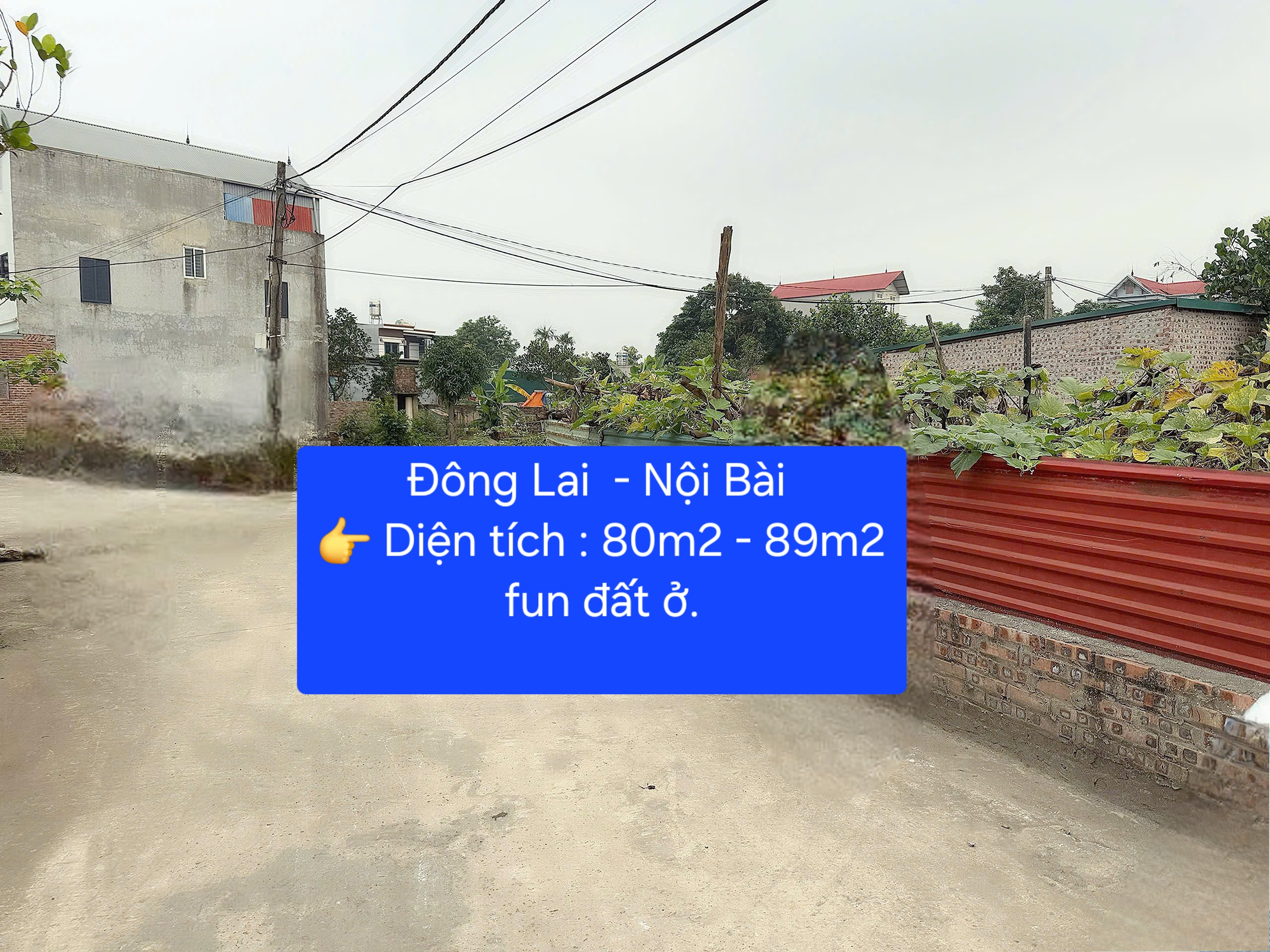 Bán đất